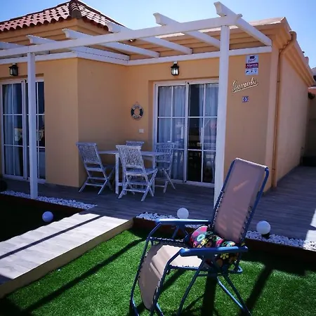 Gaviota * Caleta de Fuste