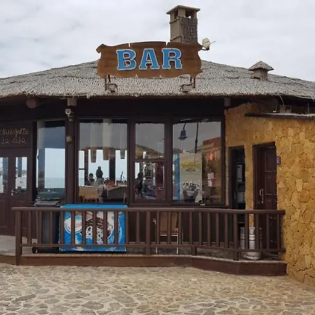 Gaviota Caleta de Fuste